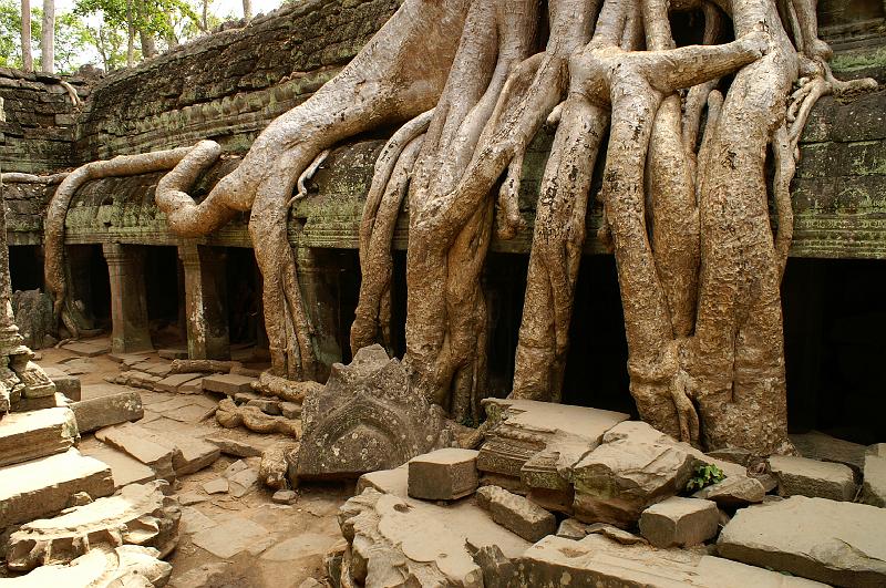 Angkor 15.JPG